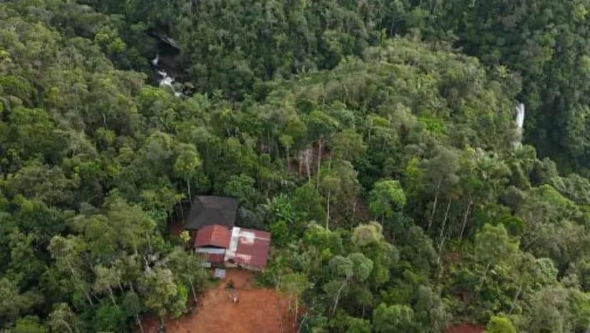La Amazonía